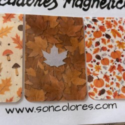Marcadores Magnéticos de Otoño