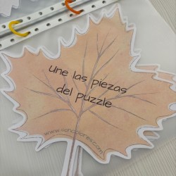 Dossier Otoño