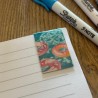 Libreta Mis Historias de Verano